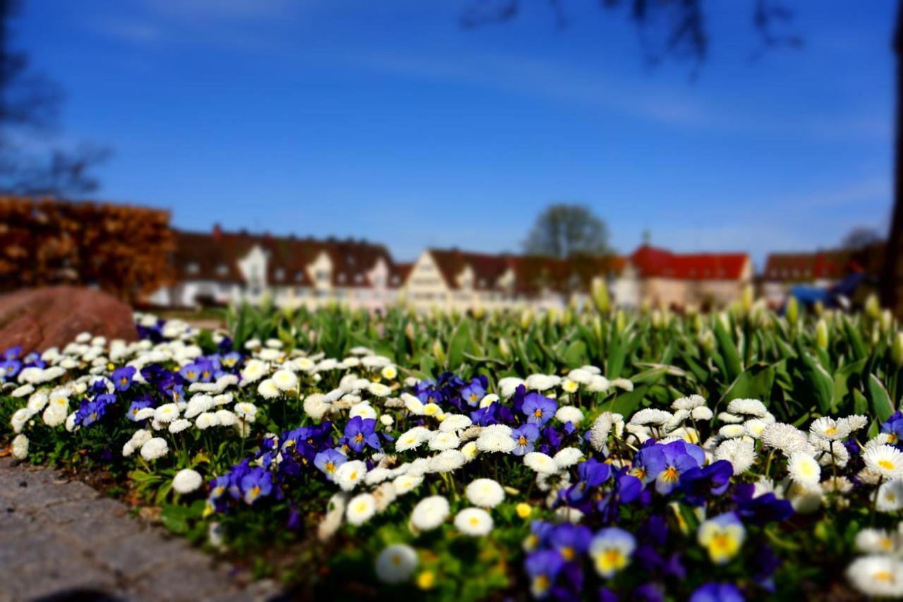Fewo Schwarzwaldfreude Freudenstadt Esterno foto