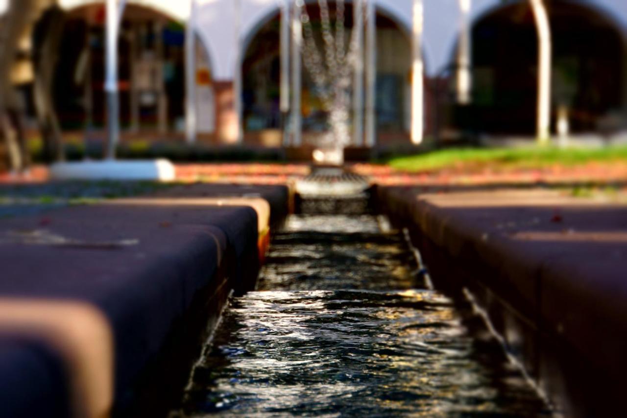 Fewo Schwarzwaldfreude Freudenstadt Esterno foto